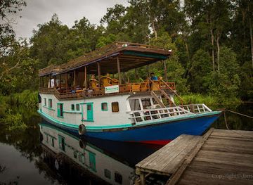 indonesia/central-kalimantan/attraction/orangutan-tour-houseboat-borneo-eco-tour-pangkalan-bun
