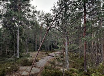 finland/espoo/attraction/harmaakallio-rock