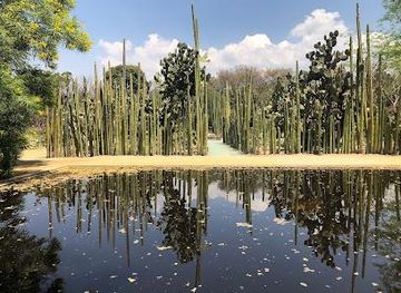 mexico/valles-centrales-of-oaxaca/attraction/jardin-etnobotanico-de-oaxaca