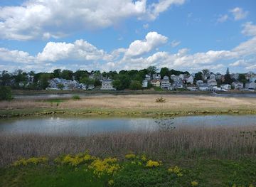 massachusetts/norfolk-county/attraction/belle-isle-marsh-reservation