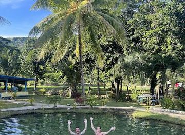 fiji/sigatoka/attraction/sabeto-hot-spring-mud-pool-and-tours