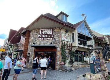 tennessee/gatlinburg/attraction/smokin-banjo