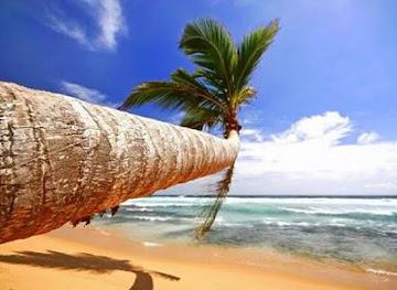 sri-lanka/kandy/attraction/aaliya-tours-travel-sri-lanka