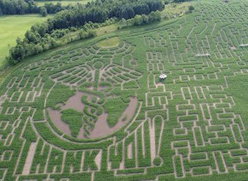 Great Vermont Corn Maze