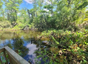 florida/big-cypress-national-preserve/attraction/fakahatchee-strand-preserve-state-park