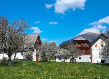austria/lungau/attraction/zehnerhof-bio-aroniabeeren-getreide-aus-osterreich
