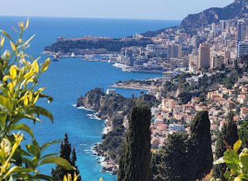 monaco/jardin-exotique/attraction/olivier-millenaire-de-roquebrune-cap-martin