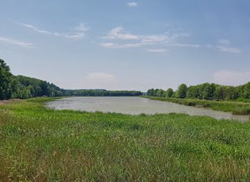 hungary/orseg-vendvidek/attraction/himfai-parkerdo