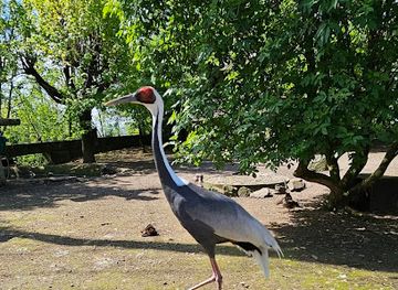 czechia/svaty-kopecek/attraction/obri-voliera-ptaku