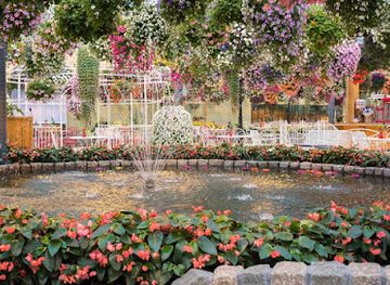 netherlands/noordoostpolder/attraction/pantropica-voorheen-de-orchideeen-hoeve