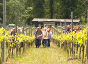united-kingdom/london/attraction/albury-vineyard