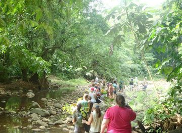 costa-rica/manuel-antonio-national-park/attraction/dave-dave-s-costa-rica-nature-park