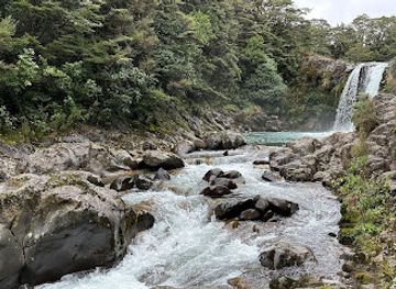 new-zealand/tongariro-national-park/attraction/tawhai-falls-walk