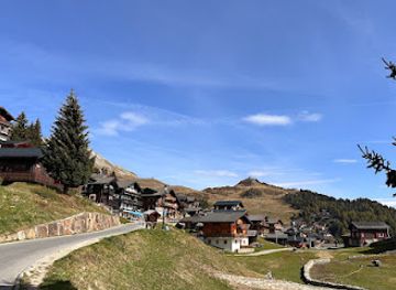 switzerland/western-switzerland/attraction/grand-tour-of-switzerland-bettmeralp