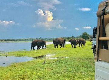 sri-lanka/sigiriya/attraction/minneriya-jeep-safari-by-jis