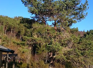 norway/molde/attraction/kringstadsetra