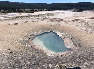 montana/yellowstone-national-park/attraction/infant-geyser