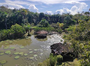 peru/iquitos/punchana/attraction/fundo-pedrito