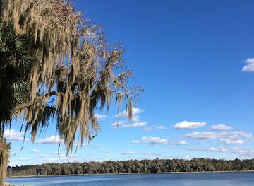 florida/santa-fe-river/attraction/lake-wauburg