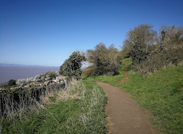 united-kingdom/cardiff/attraction/howardian-local-nature-reserve