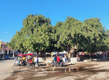 madagascar/ifaty/attraction/ankilisoafilira