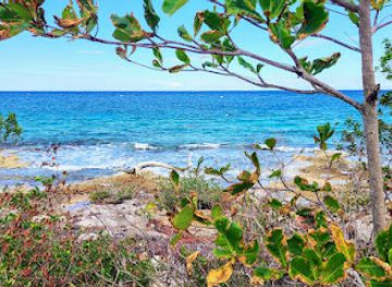 mexico/cozumel/san-miguel/attraction/cozumel-mexico