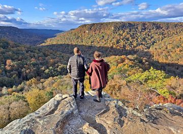 tennessee/fall-creek-falls-state-park/attraction/buzzards-roost
