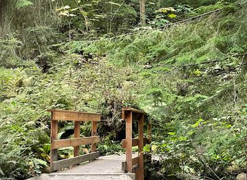 washington/olympic-national-park/attraction/schmitz-preserve-park