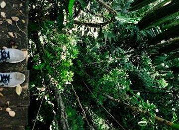 thailand/phuket/attraction/cc-s-eco-tours