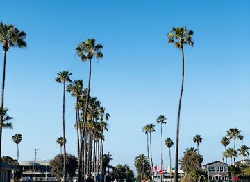 california/long-beach/attraction/rosie-s-dog-beach