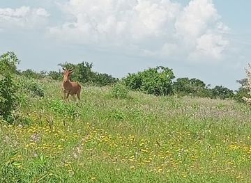kenya/tsavo-national-park/attraction/tsavo-west-national-park-southern-maktau-gate