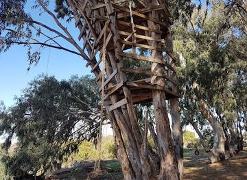 israel/kfar-saba/attraction/mshk-brgr-kpr-hs