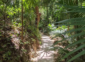 honduras/lempira-region/attraction/carambola-gardens