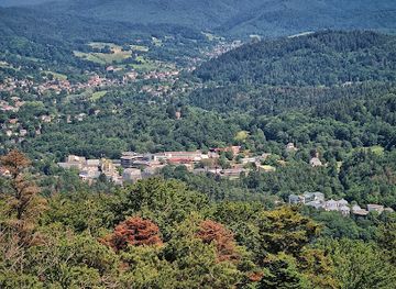 germany/baden/attraction/fremersberg-tower