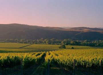 california/santa-barbara/attraction/gainey-estate-vineyards-tasting-room