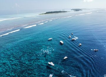 maldives/faafu-atoll/attraction/fenfushi-whale-shark-point