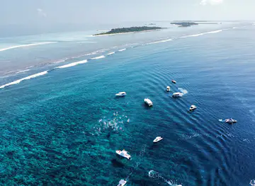 Fenfushi Whale Shark Point