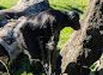 nebraska/columbus/attraction/congo-expedition