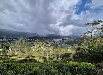 sri-lanka/nuwara-eliya/attraction/single-tree-hill