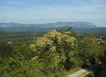 slovenia/sezana/attraction/gozdna-ucna-pot-tabor