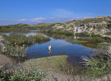 netherlands/egmond-aan-zee/attraction/duinlandschap-egmond-aan-zee