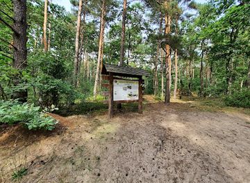 poland/masovia/attraction/losiowka