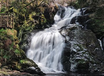 united-kingdom/down/attraction/spectacle-e-e-falls