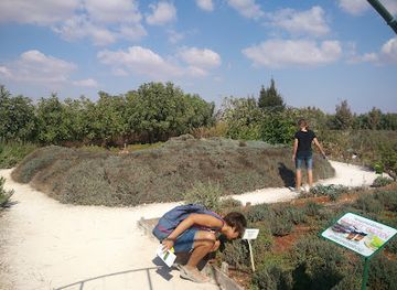 cyprus/limassol-district/attraction/cyherbia-botanical-park-labyrinth