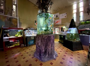 serbia/kolubara/attraction/javni-akvarijum-i-tropikarijum-beograd