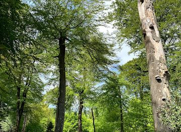 denmark/silkeborg/attraction/knagerne-silkeborg