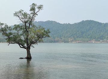 thailand/trat/attraction/the-lonely-tree-in-the-sea