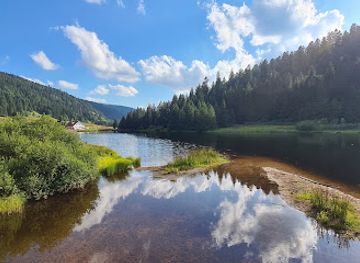 france/vosges-mountains/attraction/lac-de-la-tenine