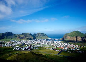 iceland/westman-islands/attraction/eyjatours-puffin-tours-in-iceland