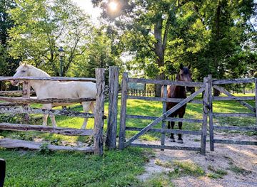 virginia/middle-peninsula/attraction/benjamin-powell-house